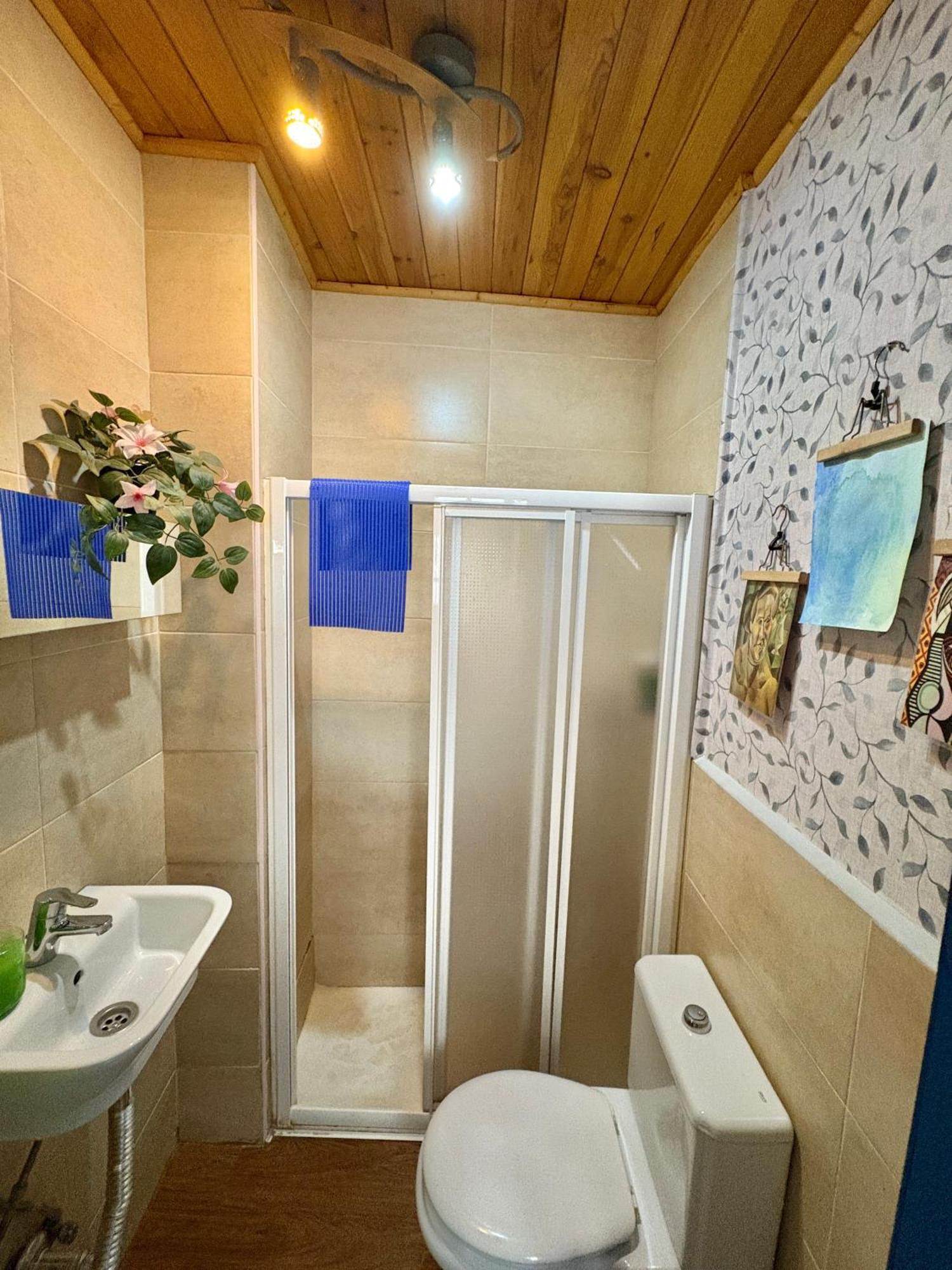Habitacion En Calle Molino Málaga Dış mekan fotoğraf