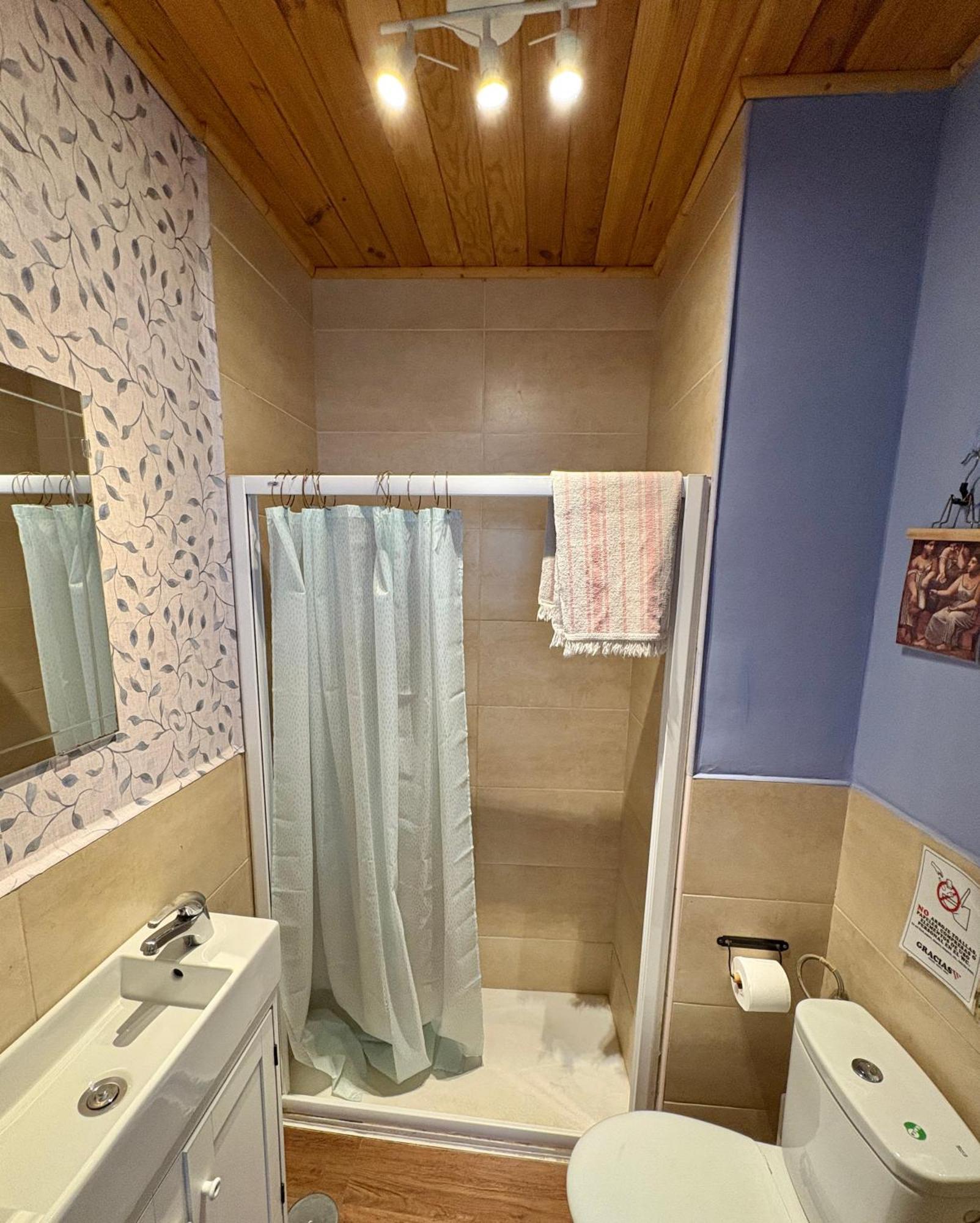 Habitacion En Calle Molino Málaga Dış mekan fotoğraf