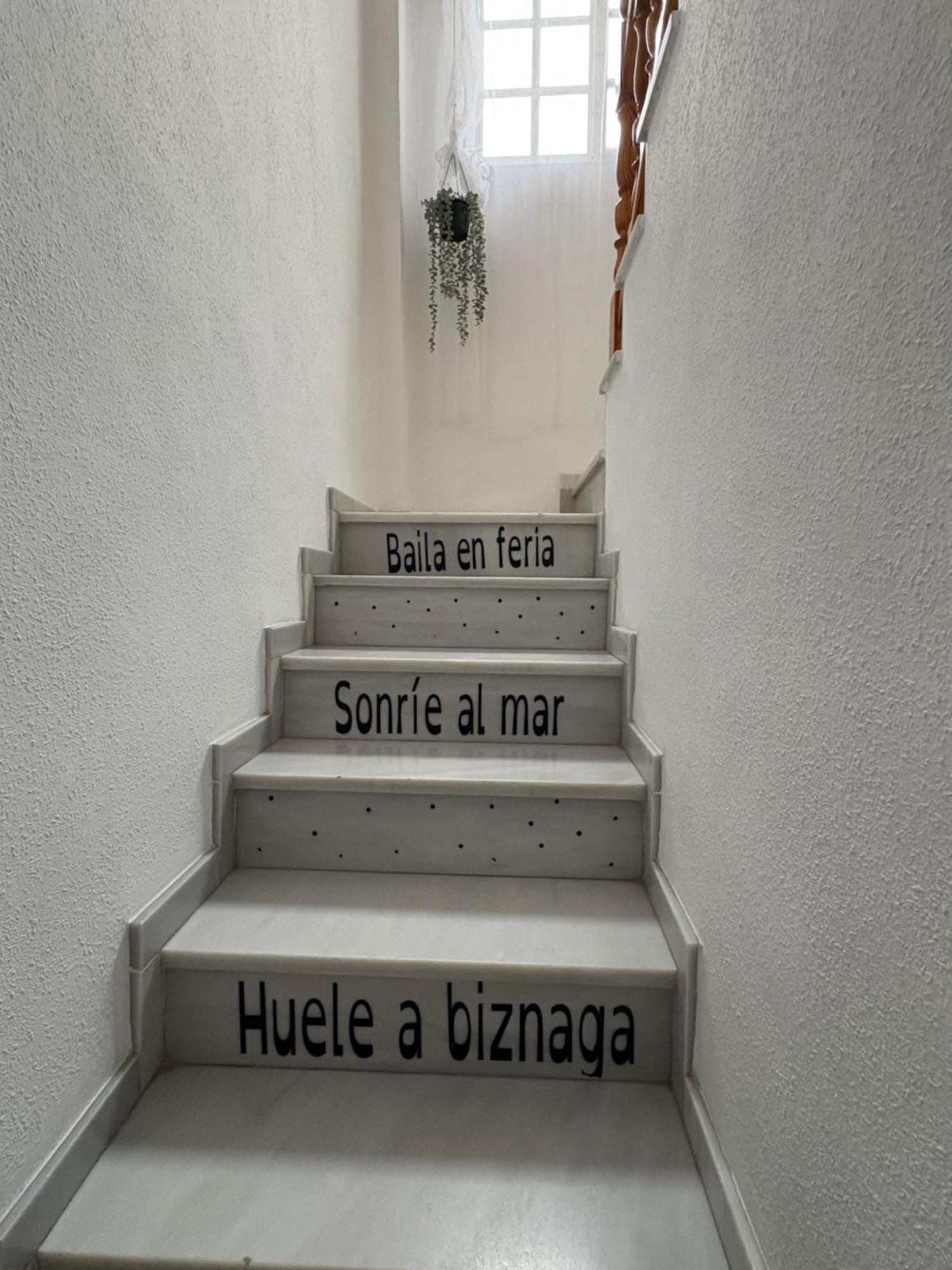 Habitacion En Calle Molino Málaga Dış mekan fotoğraf